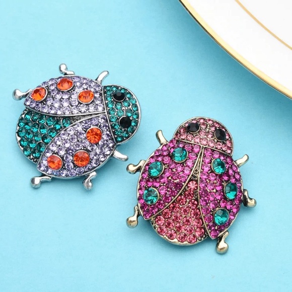 Lady Bug Brooch - Picture 2 of 6